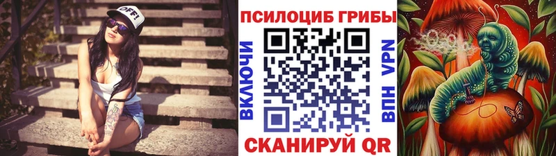 Псилоцибиновые грибы мицелий  мега маркетплейс  Серов 