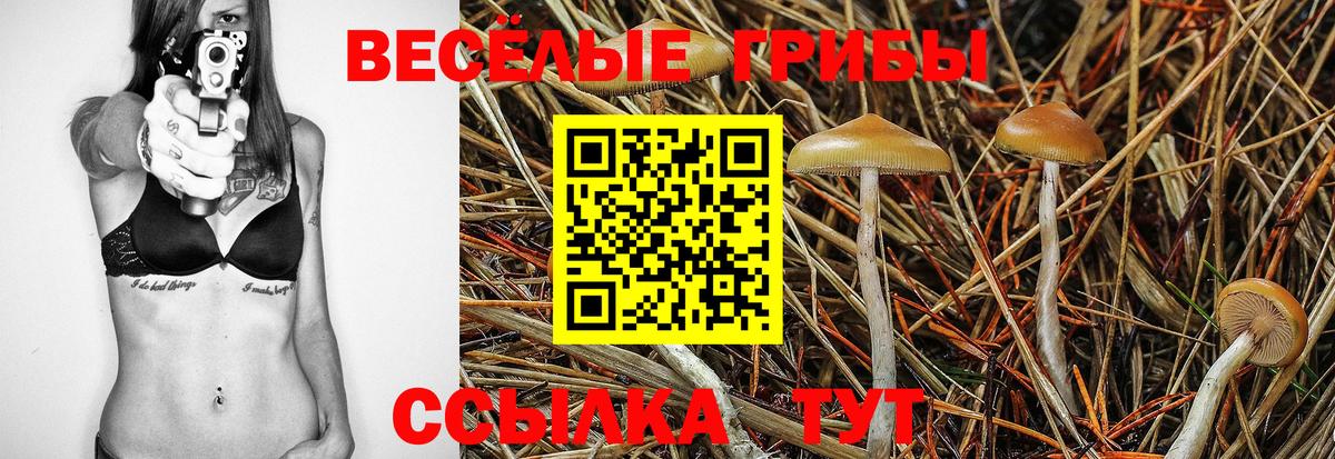 Круглые  NBOMe  Вход с VPN  МАРИХУАНА  COCAIN  Серов  A PVP  Вейп ТГК  МЕФ 