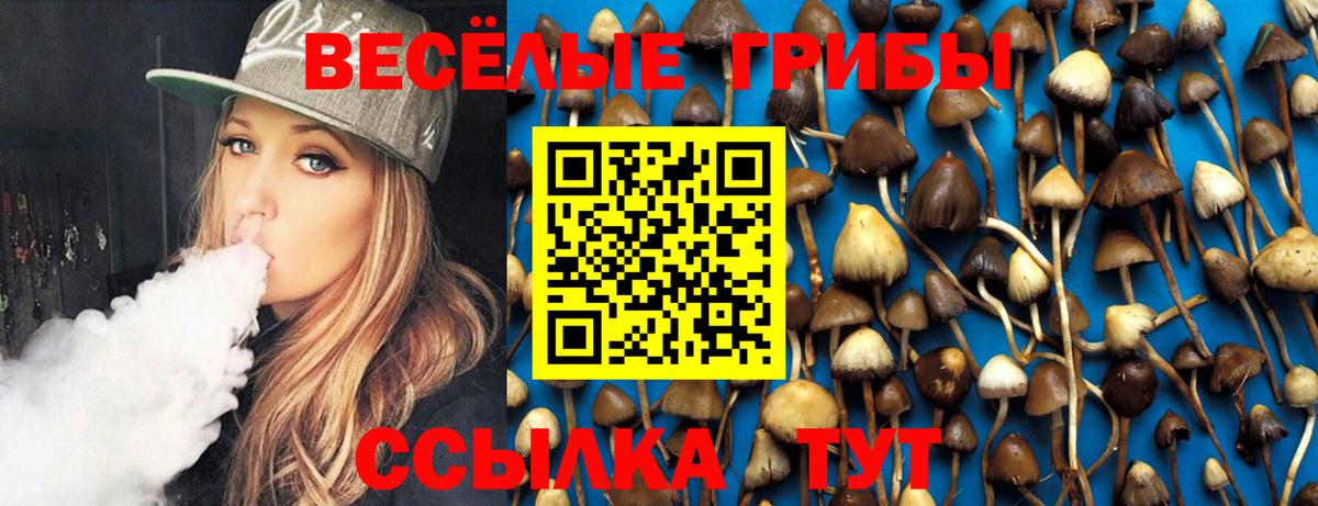 как найти наркотики  Серов  Псилоцибиновые грибы мухоморы 