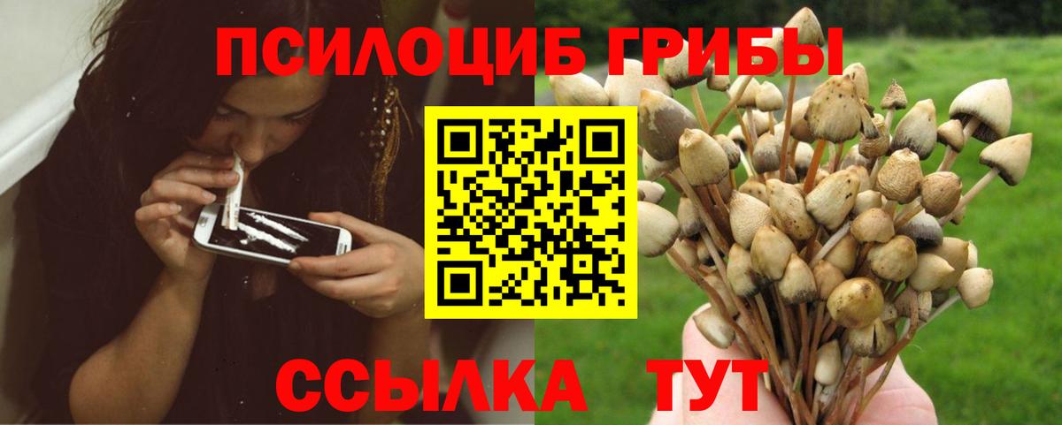 Галлюциногенные грибы Psilocybine cubensis Серов